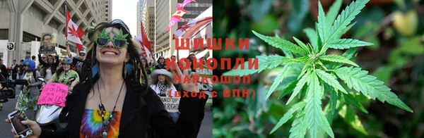 каннабис Арсеньев