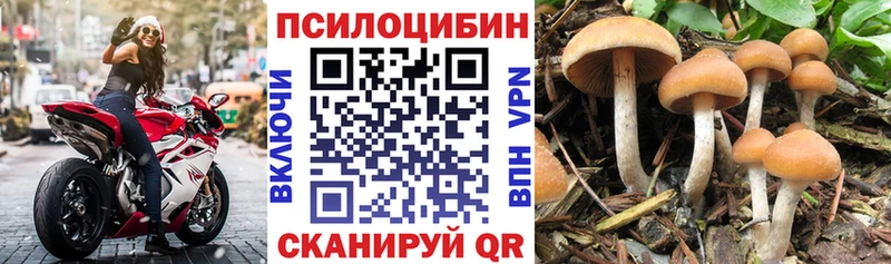 Галлюциногенные грибы Psilocybine cubensis  hydra онион  Певек  купить  