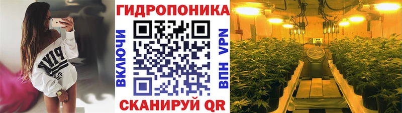 Конопля OG Kush  купить наркоту  Певек 